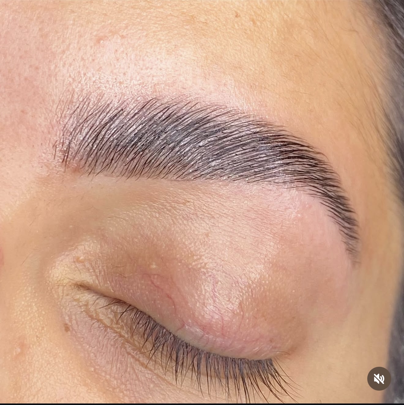 Laminated eyebrow finish